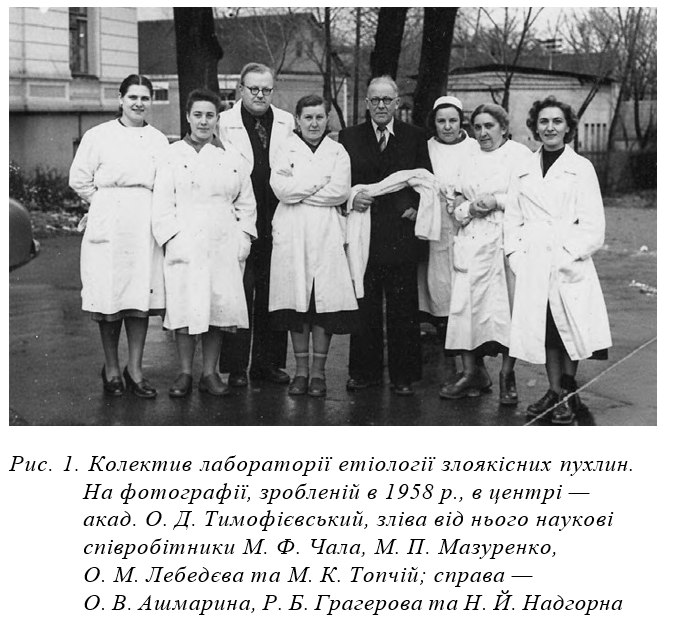 Рис. 1. Колектив лабораторії етіології злоякісних пухлин. На фотографії, зробленій в 1958 р., в центрі — акад. О. Д. Тимофієвський, зліва від нього наукові співробітники М. Ф. Чала, М. П. Мазуренко, О. М. Лебедєва та М. К. Топчій; справа — О. В. Ашмарина, Р. Б. Грагерова та Н. Й. Надгорна 